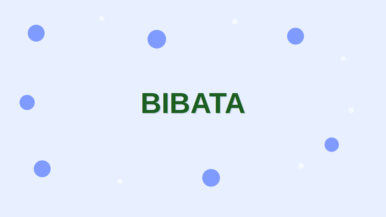 Bibata Cursor Collection